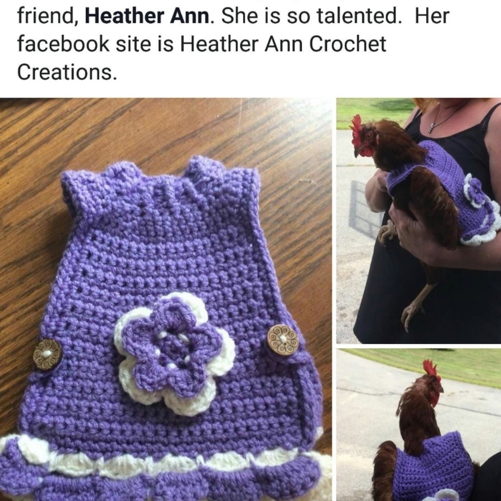 Handmade Purple Crochet Chicken Dress with White Trim
